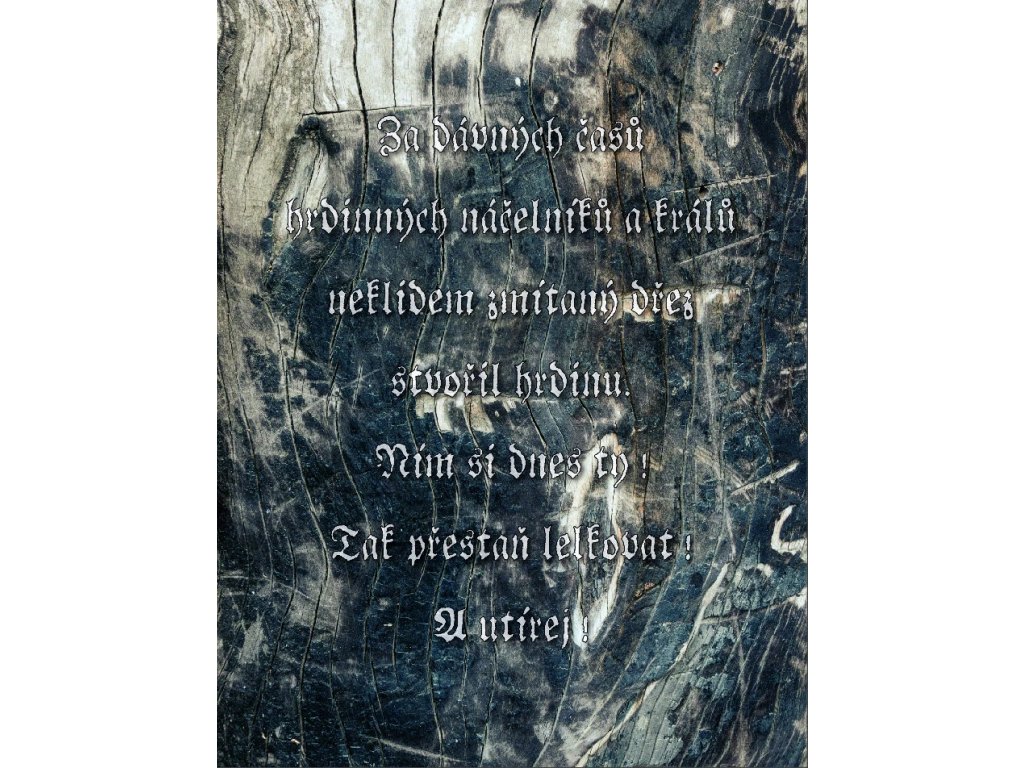 Kuchyňská utěrka s potiskem Za dávných časů