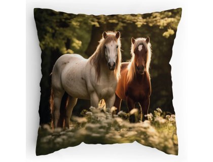 Polstářek s potiskem Koničci