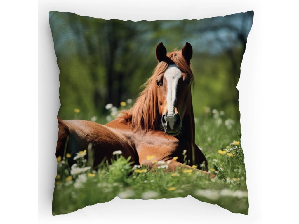 Polstářek s potiskem Konská dávka odpočinku