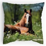 Polstářek s potiskem Konská dávka odpočinku