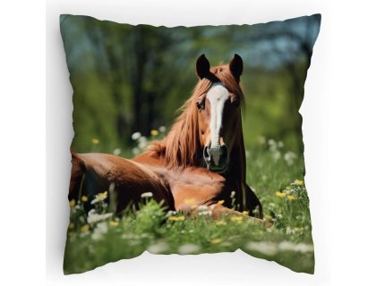 Polstářek s potiskem Konská dávka odpočinku