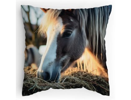 Polstářek s potiskem Pony