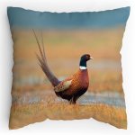Polštářek s potiskem Bažant