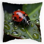 Polštářek s potiskem Beruška