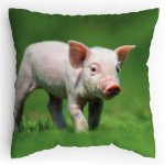 Polštářek s potiskem Čuník