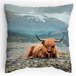 Polštářek s potiskem Highlander