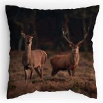 Polštářek s potiskem Jelen a Laň