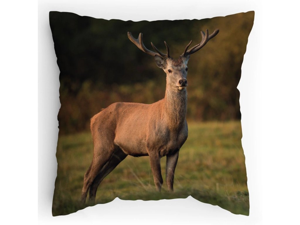 Polštářek s potiskem Jelen je Král