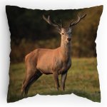 Polštářek s potiskem Jelen je Král