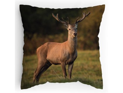 Polštářek s potiskem Jelen je Král