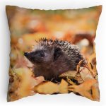 Polštářek s potiskem Ježek