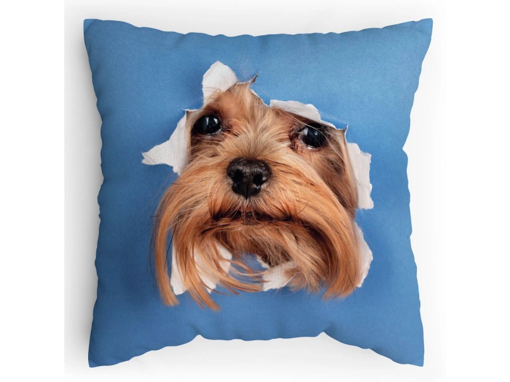 Polštářek s potiskem Jorkšír leze taky dírou