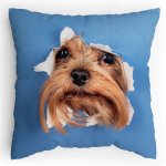 Polštářek s potiskem Jorkšír leze taky dírou