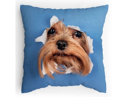 Polštářek s potiskem Jorkšír leze taky dírou