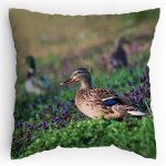 Polštářek s potiskem Kachna