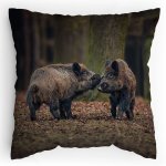 Polštářek s potiskem Kanec