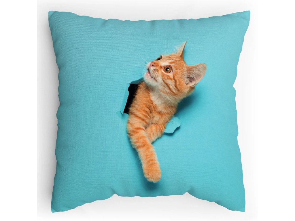 Polštářek s potiskem Kočka leze dírou