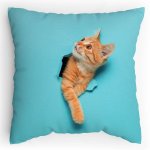 Polštářek s potiskem Kočka leze dírou