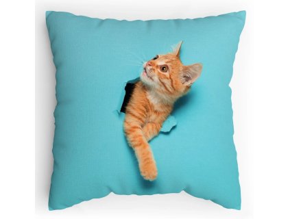 Polštářek s potiskem Kočka leze dírou