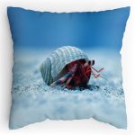 Polštářek s potiskem Krab Poustevník