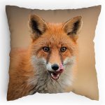 Polštářek s potiskem Liška