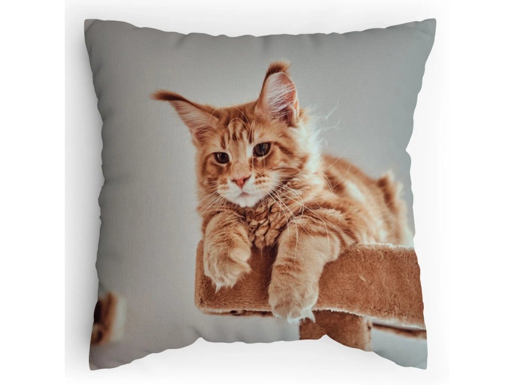 Polštářek s potiskem Mainská