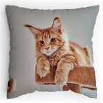 Polštářek s potiskem Mainská