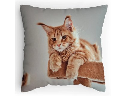 Polštářek s potiskem Mainská