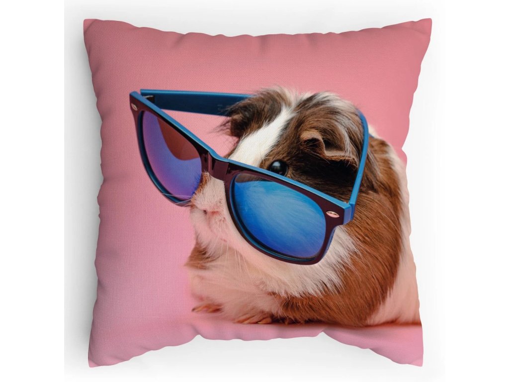 Polštářek s potiskem Morče v brýlích