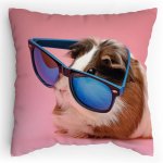 Polštářek s potiskem Morče v brýlích