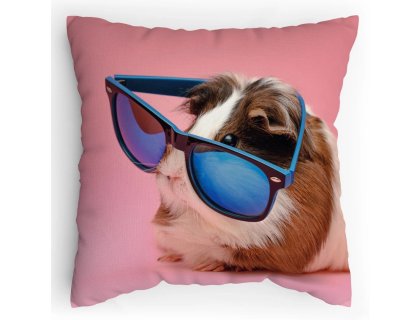 Polštářek s potiskem Morče v brýlích