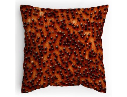 Polštářek s potiskem Mraveniště 1