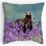 Polštářek s potiskem Orel