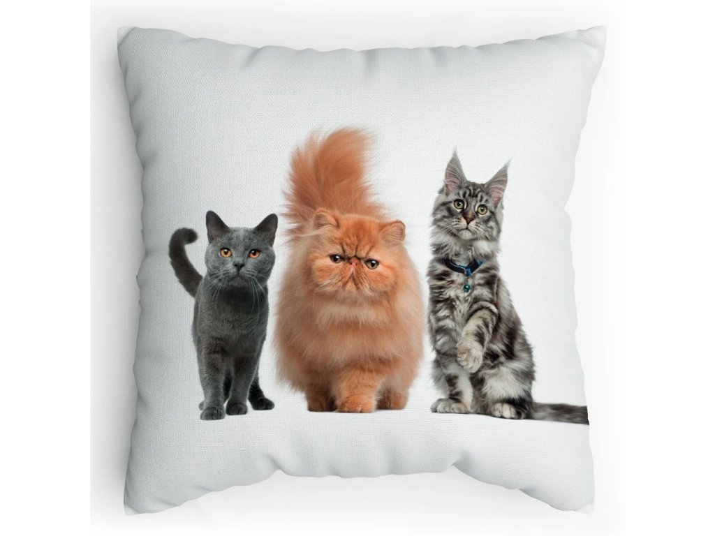 Polštářek s potiskem Parta cats