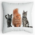 Polštářek s potiskem Parta cats