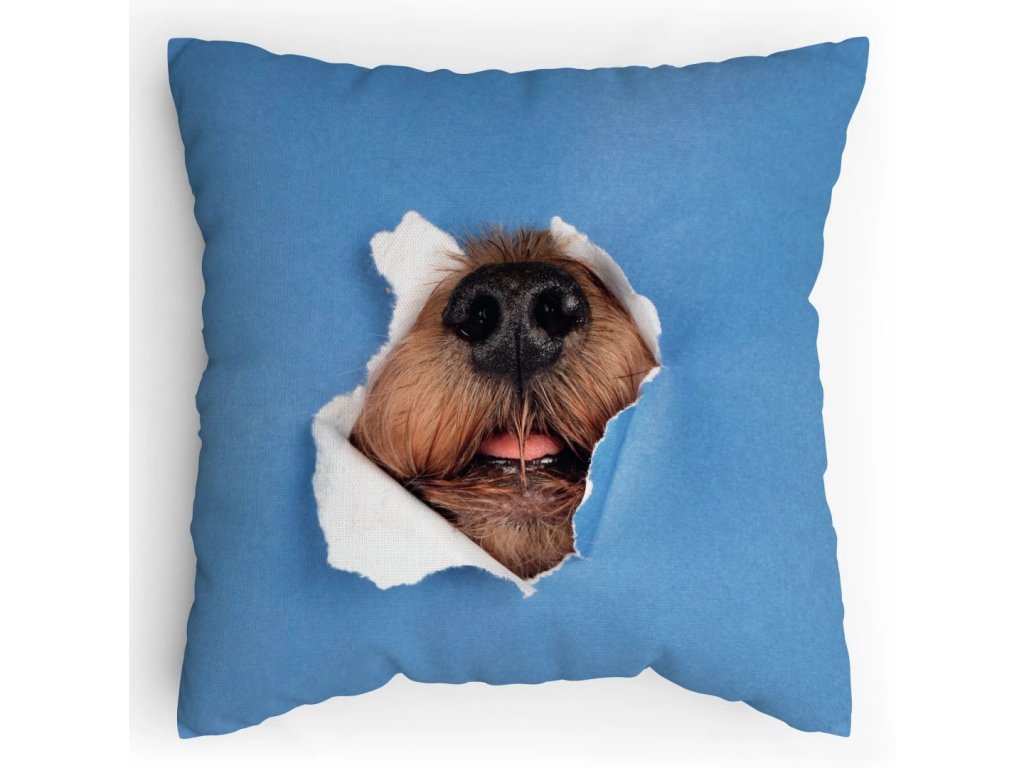 Polštářek s potiskem Pes leze taky dírou