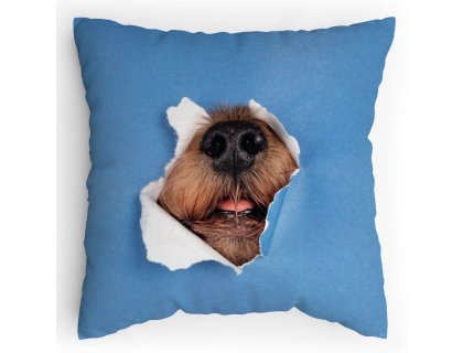 Polštářek s potiskem Pes leze taky dírou