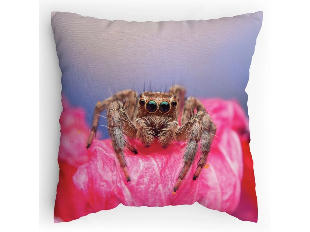 Polštářek s potiskem Skákající pavouk