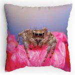 Polštářek s potiskem Skákající pavouk