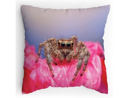 Polštářek s potiskem Skákající pavouk
