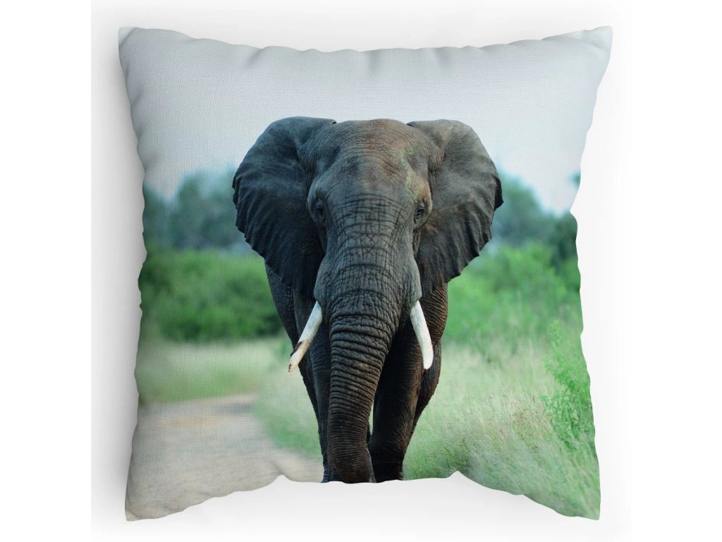 Polštářek s potiskem Slon Africký