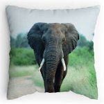Polštářek s potiskem Slon Africký