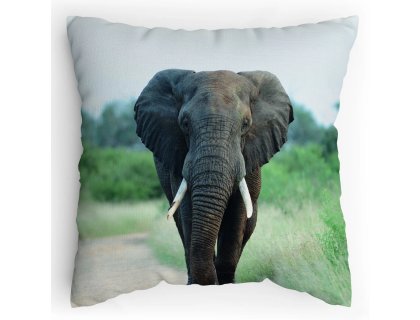 Polštářek s potiskem Slon Africký