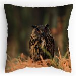 Polštářek s potiskem Sova