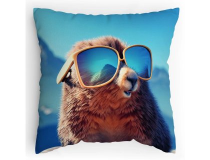 Polštářek s potiskem Sysel v brýlích