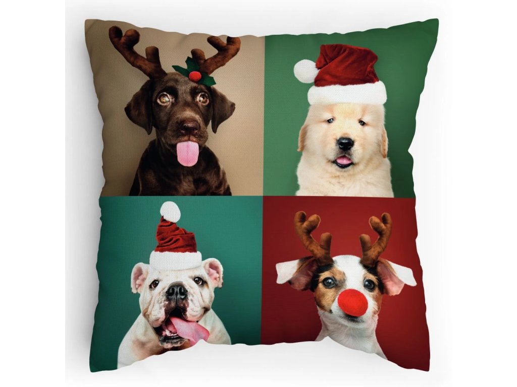 Polštářek s potiskem Všichni musí slavit