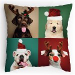 Polštářek s potiskem Všichni musí slavit