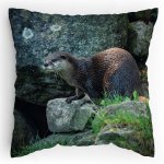 Polštářek s potiskem Vydra