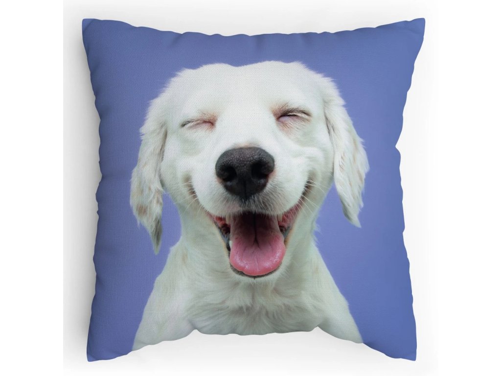 Polštářek s potiskem Vysmáté šteně