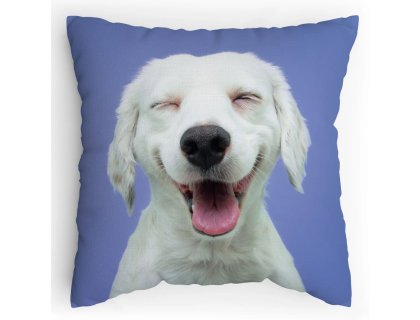 Polštářek s potiskem Vysmáté šteně